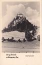 Burg_strechau1950.jpg