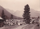 Dateiname=h_lleralm1905.jpg
Dateigröße=226KB
Abmessungen: 986x719
hinzugefügt am: 29. Juni 2013 h_lleralm1905.jpg