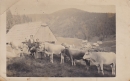 Dateiname=hoeller_alm_um_1930-2.jpg
Dateigröße=82KB
Abmessungen: 816x514
hinzugefügt am: 03. Mai 2020 hoeller_alm_um_1930-2.jpg