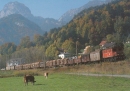 weissenbach_bei_liezen-gueterzug_1990.jpg