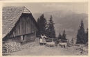 treglwang-troglenzen_alm_1951.jpg